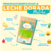 Milk Dorada Matcha Instantanea Alma Golden - Imagen 2